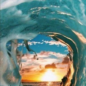 Meet your Posher, Payton